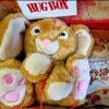 Fluffy Long Eared Rabbit Gift in Hug Box