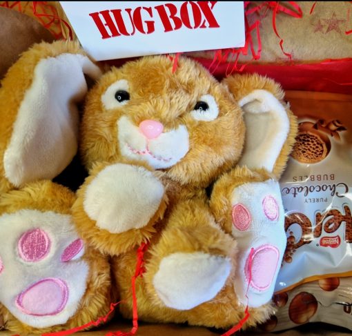 Fluffy Long Eared Rabbit Gift in Hug Box