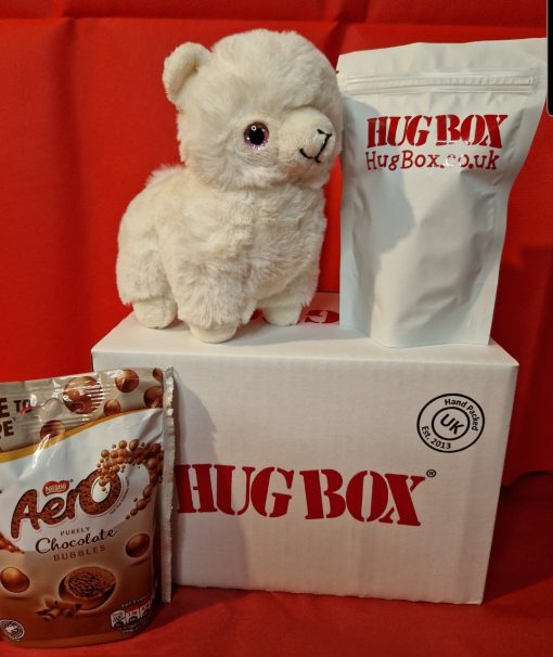 Llama Hug Box Gift Idea 2022