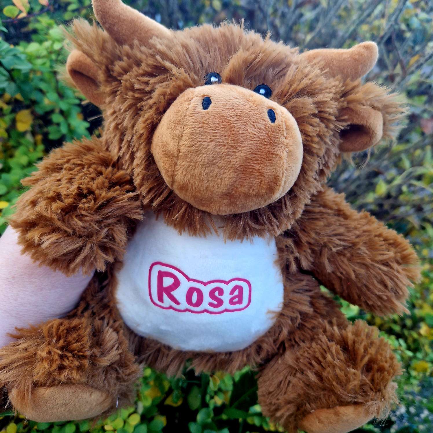 Highland Cow Personalised pink