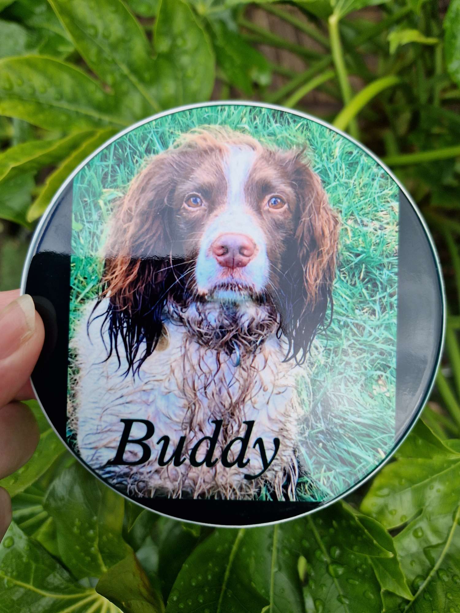 custom photo coaster 2 custom photo coaster 2