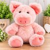 Pig Hug Box