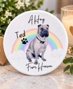 rainbow-memorial-coaster-website