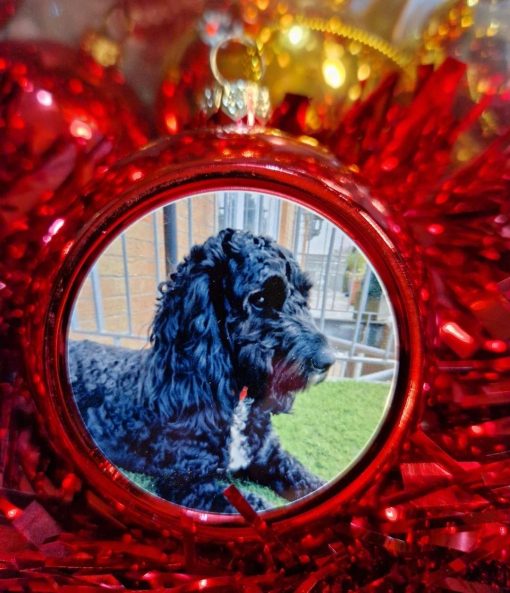 personalised christmas bauble black dog