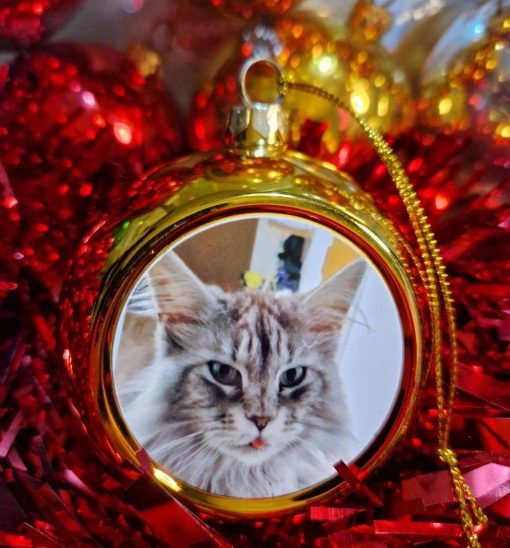 personalised christmas bauble cat