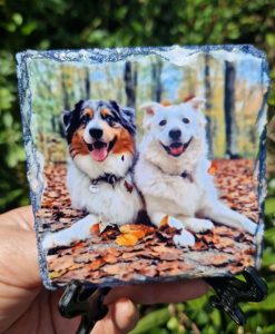 dogs personalised photo slate