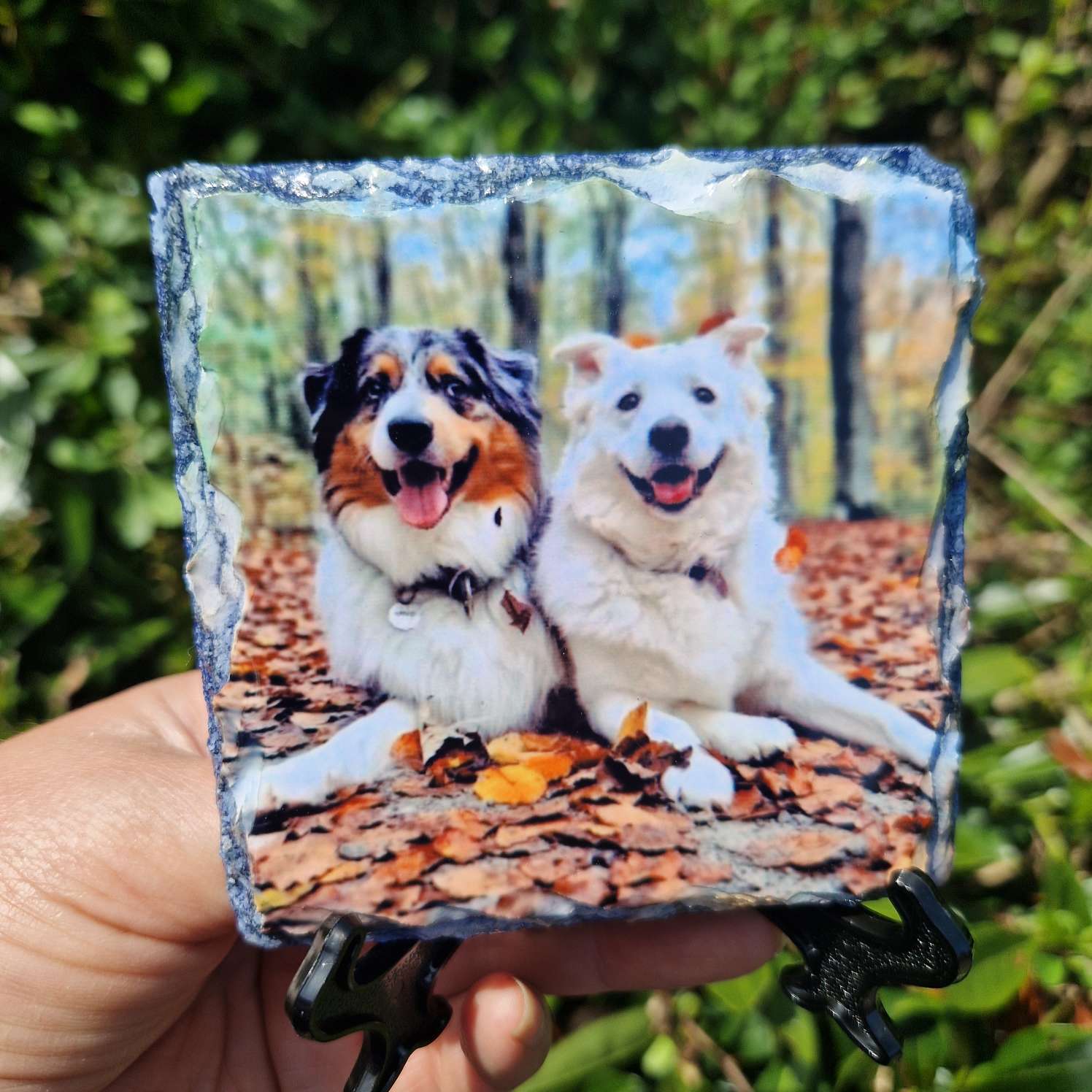dogs personalised photo slate