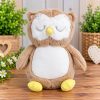 Personalised Owl Hug Box – Brown and White Owl Soft Toy Gift