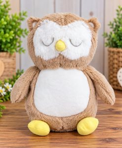 Personalised Owl Hug Box – Brown and White Owl Soft Toy Gift