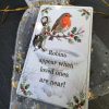Robin Pocket Hug Gift
