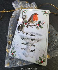 Robin Pocket Hug Gift