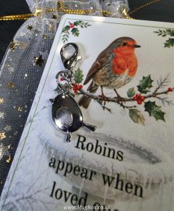 Robin Pocket Hug Gift closeup