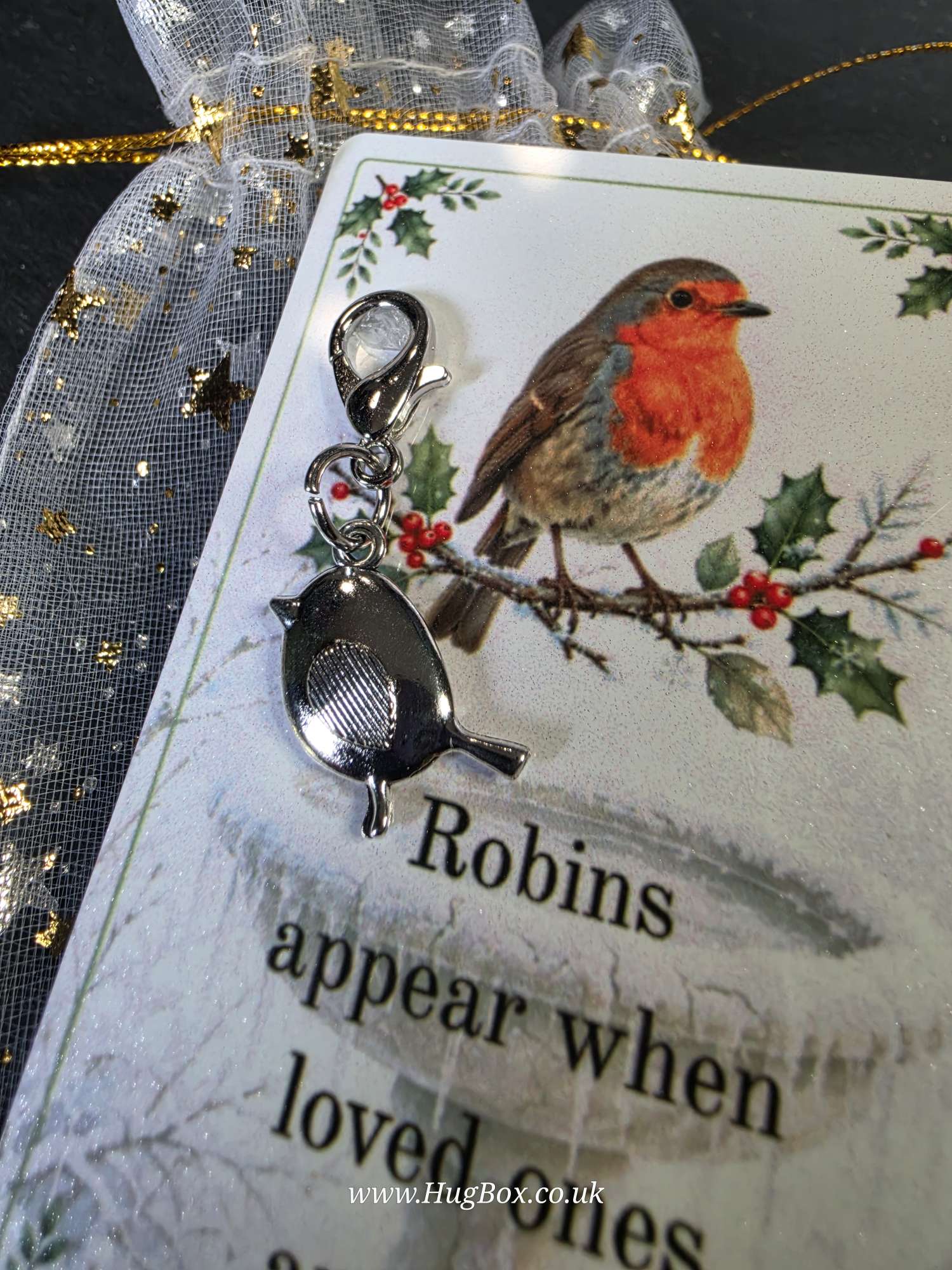 Robin Pocket Hug Gift closeup