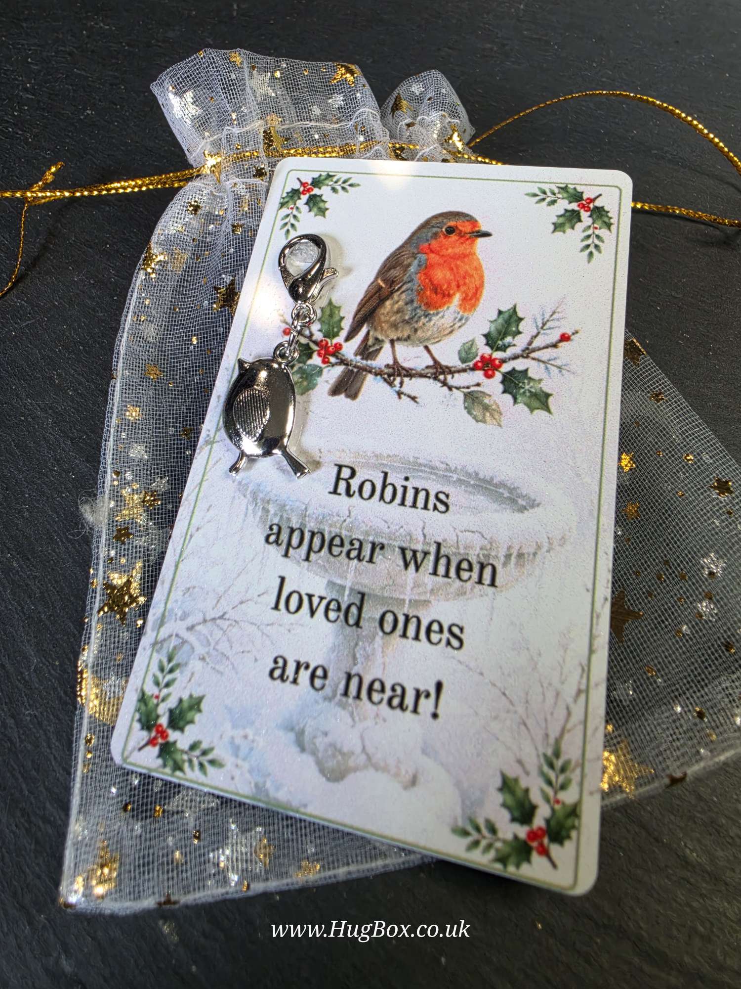 Robin Pocket Hug Gift