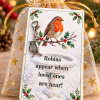 Robins Appear Pocket Hug Cover