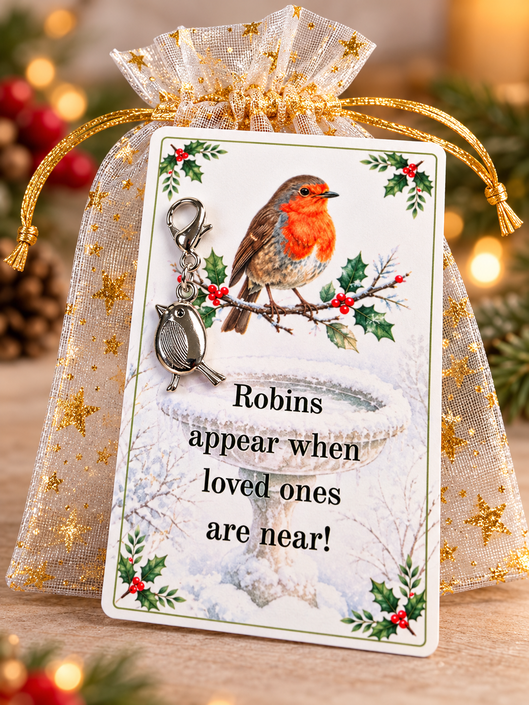 Robins Appear Pocket Hug Cover